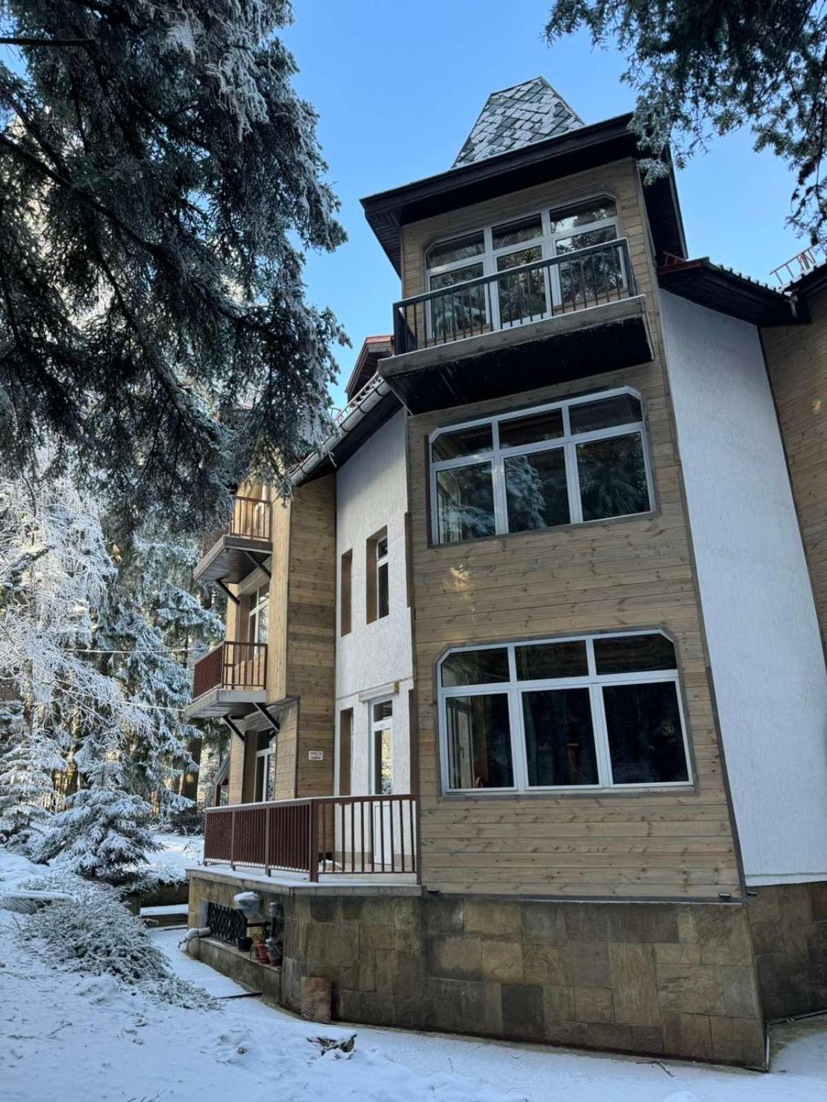 The Forest Villa Borovets Buitenkant foto