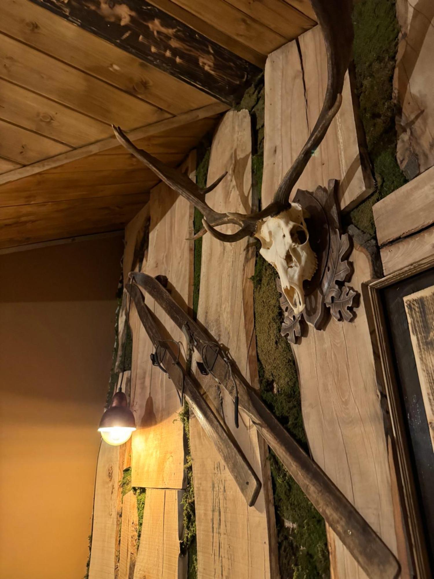 The Forest Villa Borovets Buitenkant foto