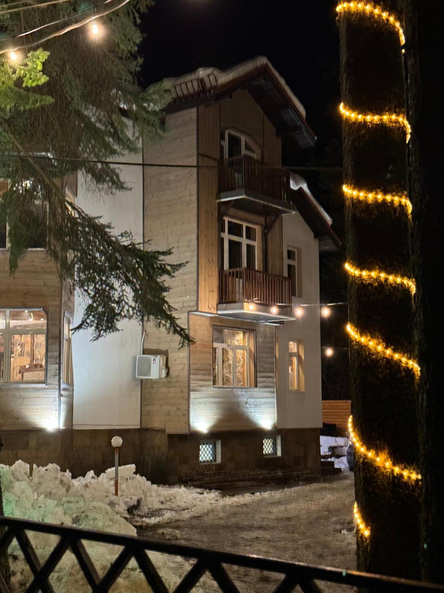The Forest Villa Borovets Buitenkant foto