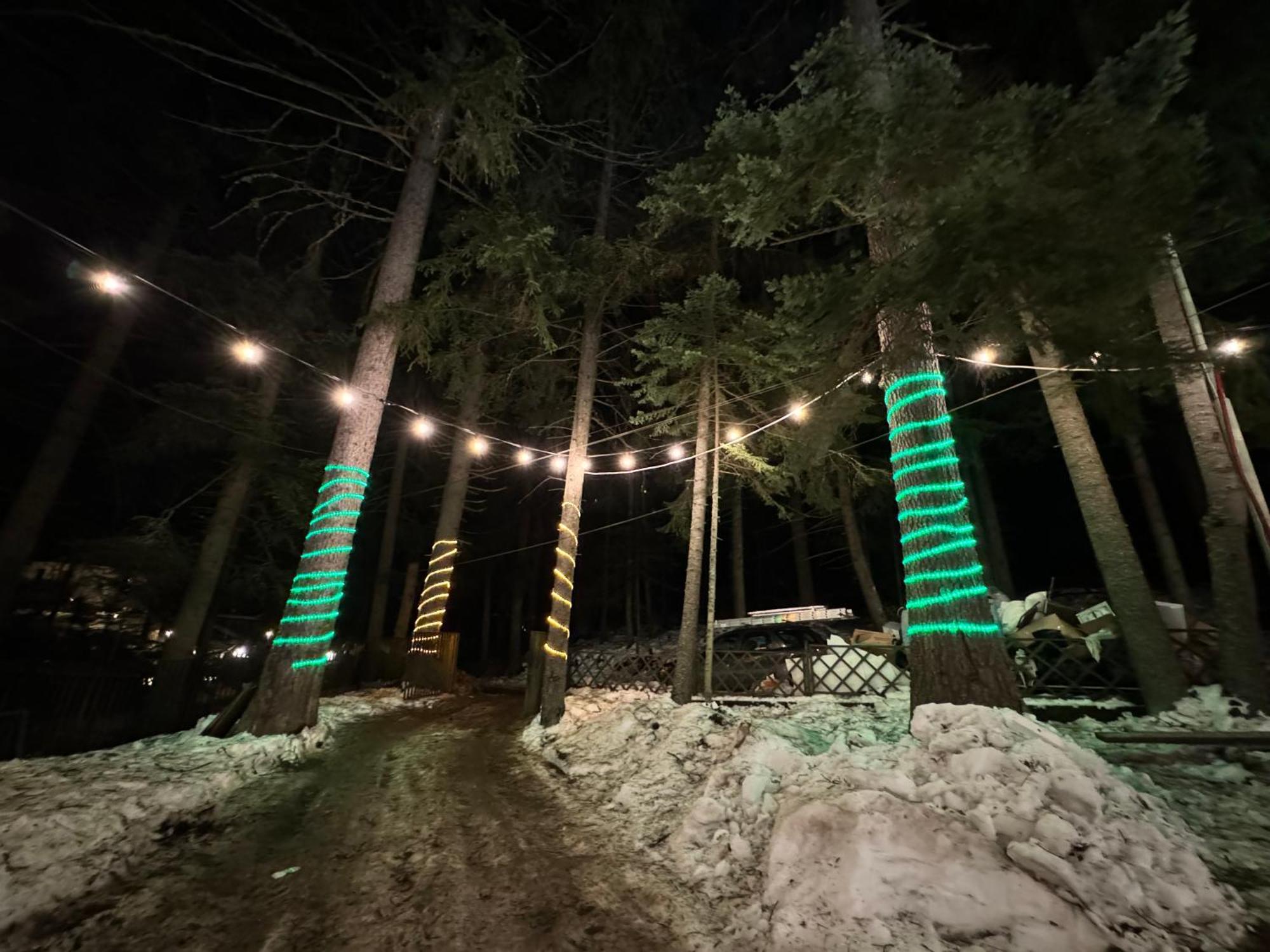 The Forest Villa Borovets Buitenkant foto