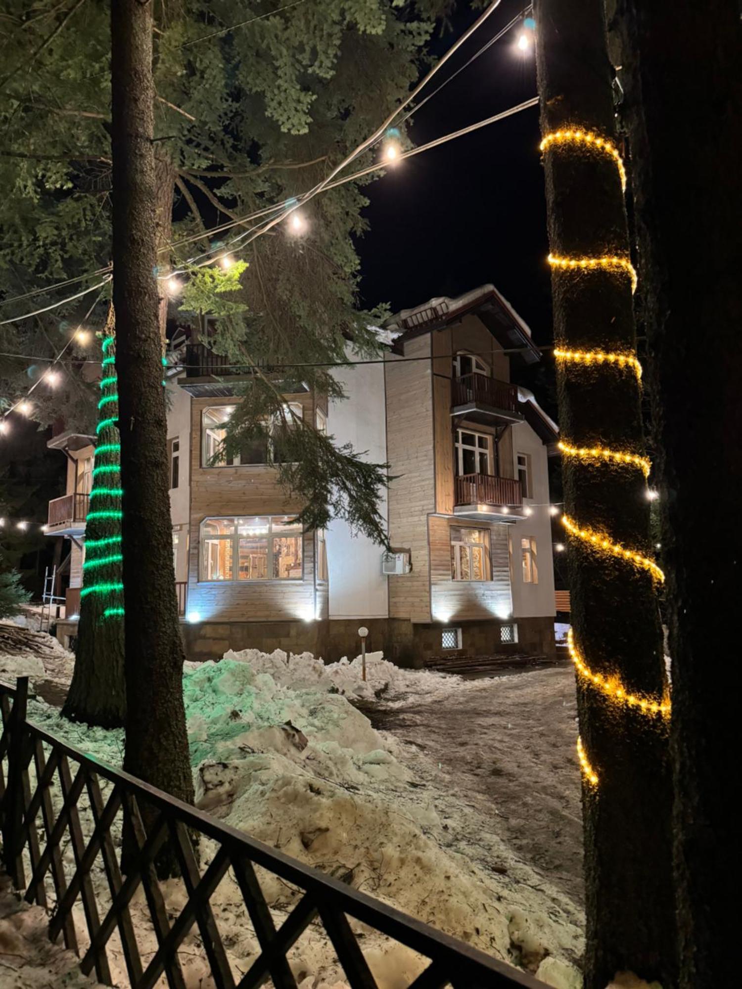 The Forest Villa Borovets Buitenkant foto