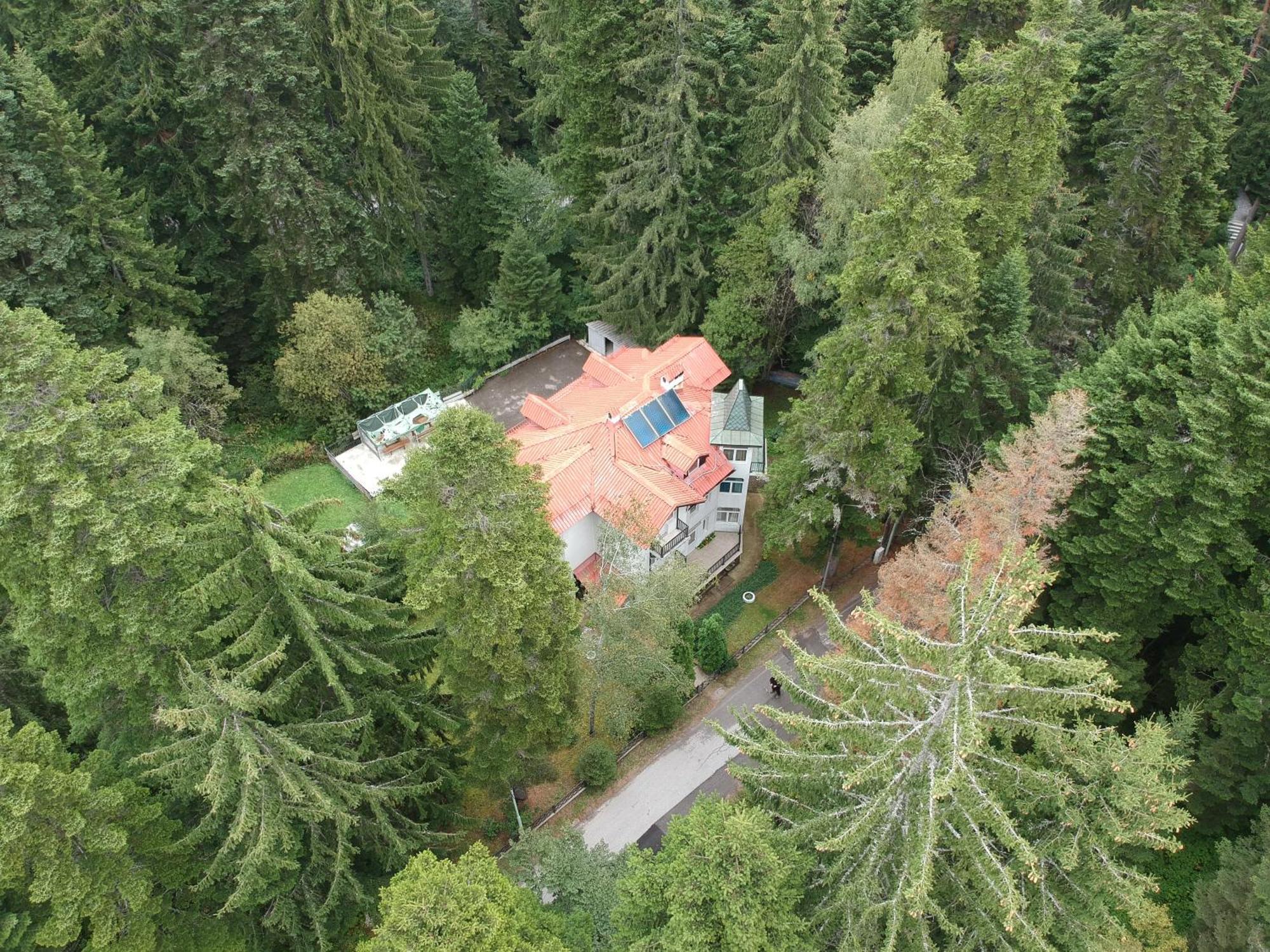 The Forest Villa Borovets Buitenkant foto
