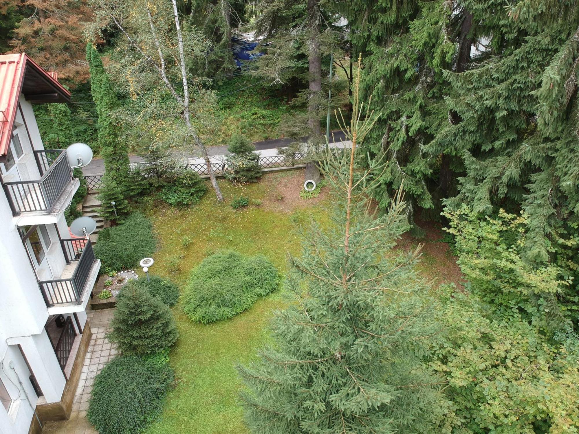 The Forest Villa Borovets Buitenkant foto