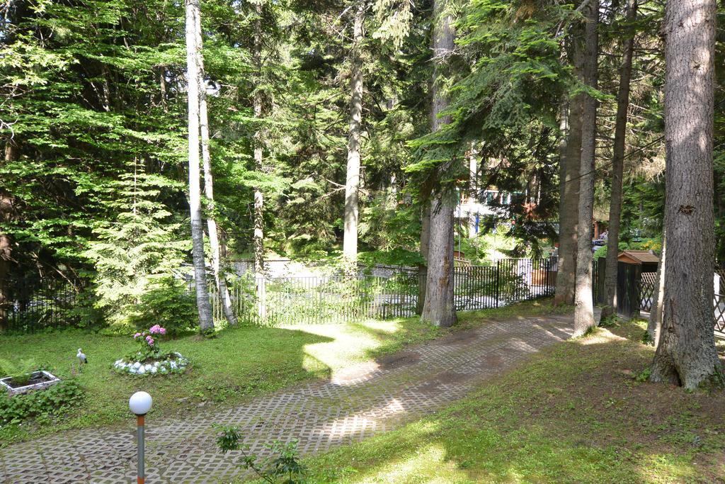 The Forest Villa Borovets Buitenkant foto